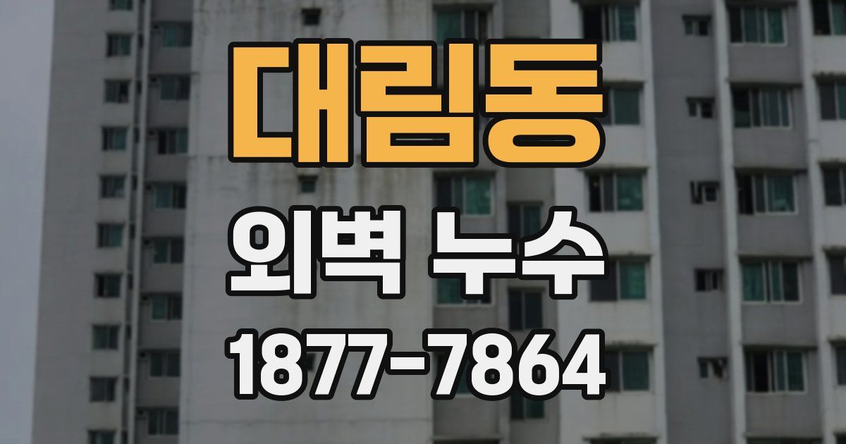 대림동 외벽 누수