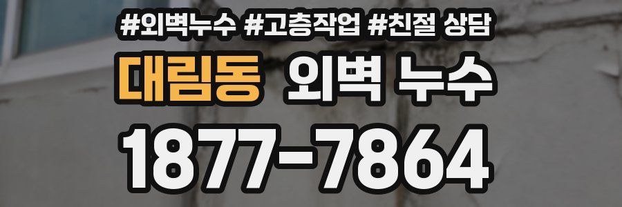 대림동 외벽 누수