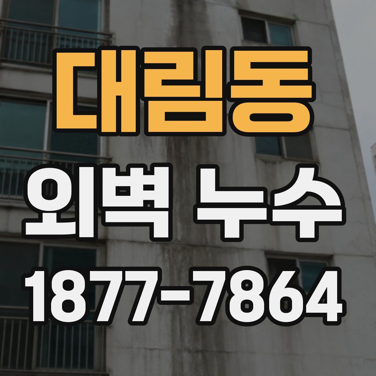 대림동 외벽 누수