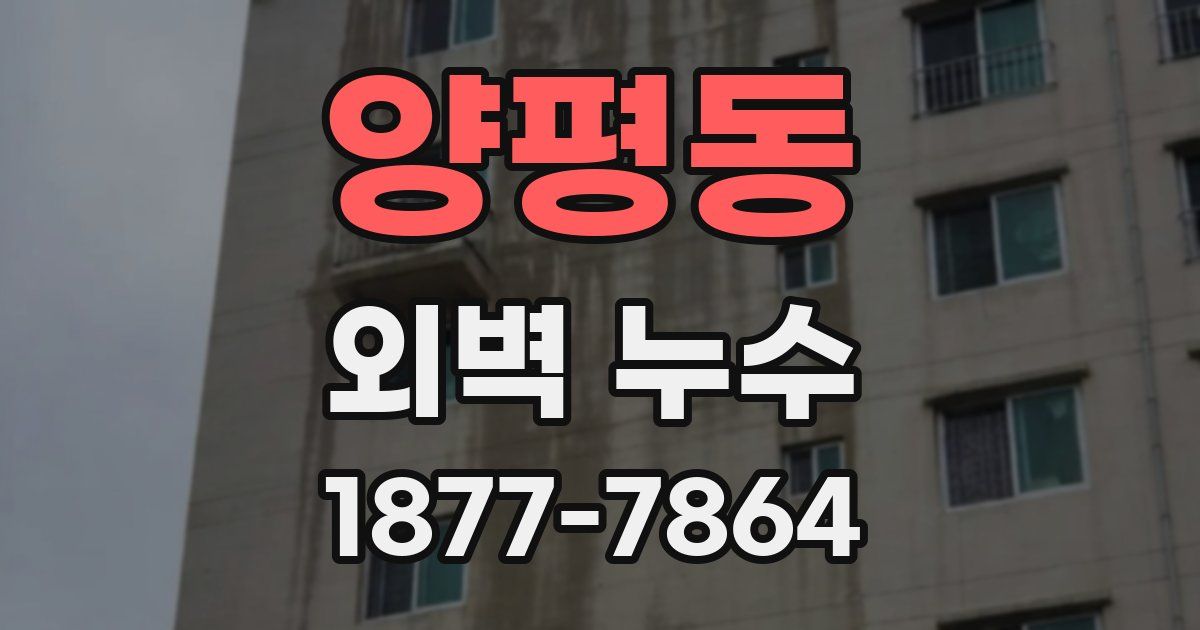 양평동 외벽 누수
