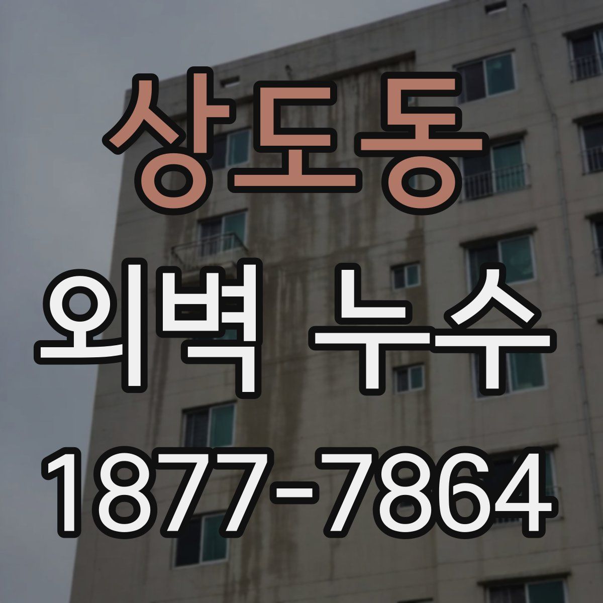 상도동 외벽 누수