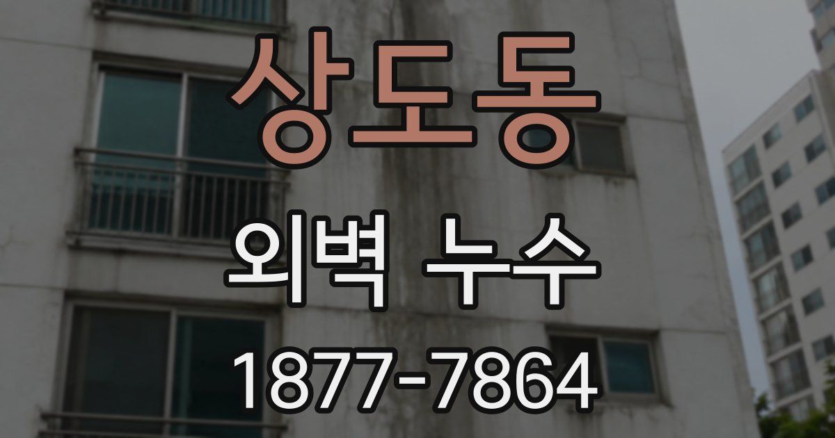 상도동 외벽 누수