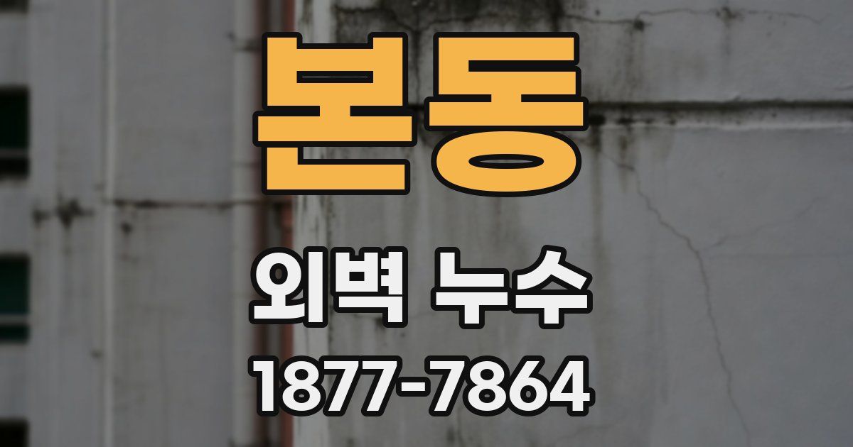 본동 외벽 누수