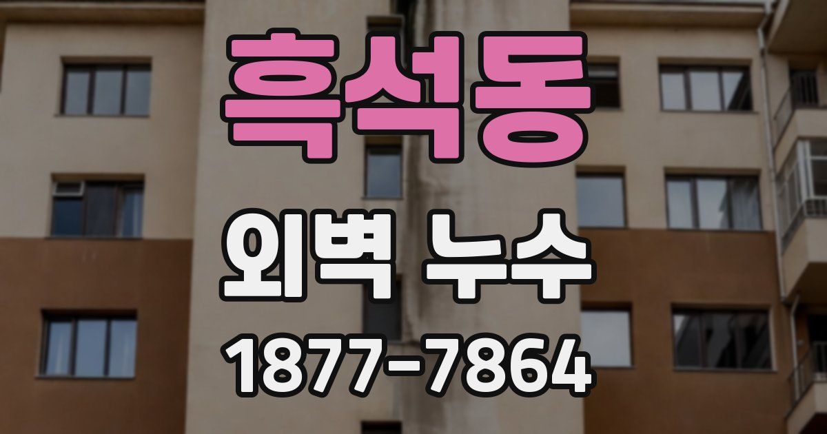 흑석동 외벽 누수