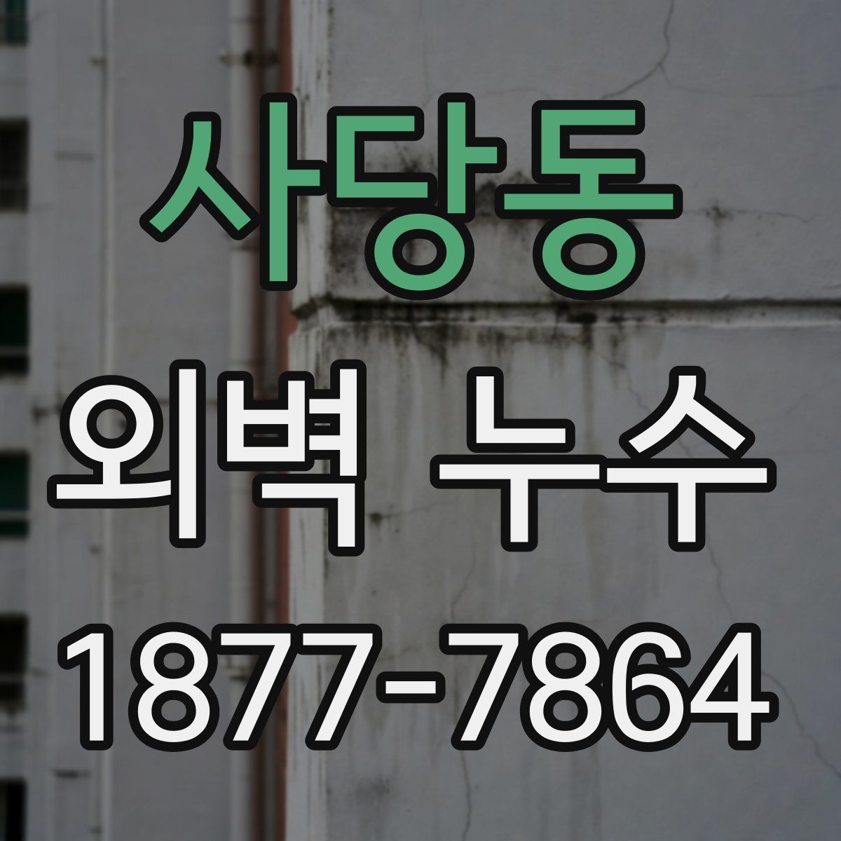 사당동 외벽 누수