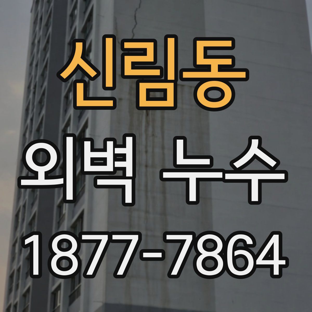 신림동 외벽 누수