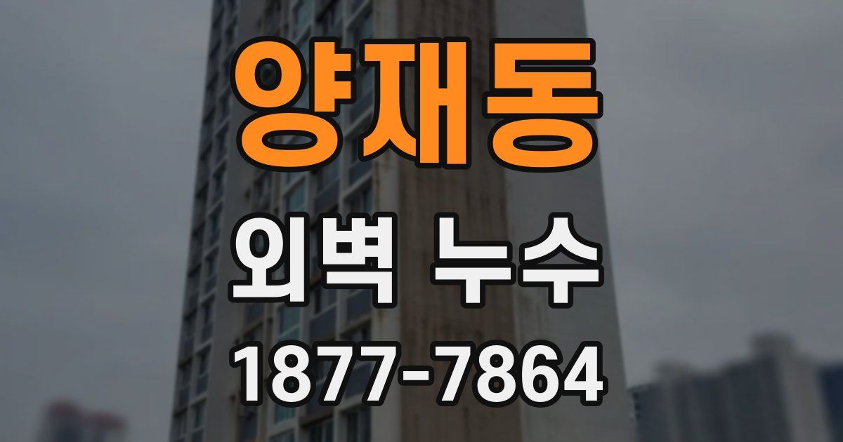 양재동 외벽 누수
