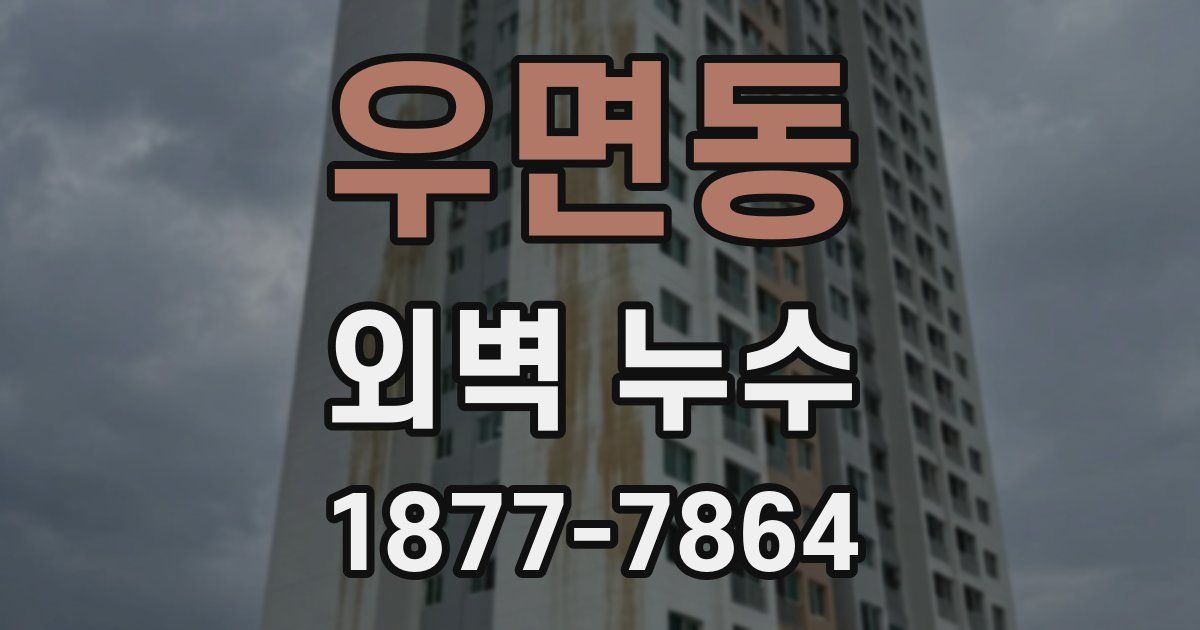 우면동 외벽 누수