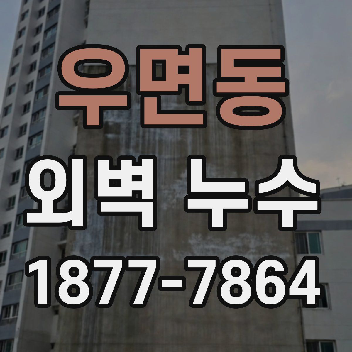 우면동 외벽 누수