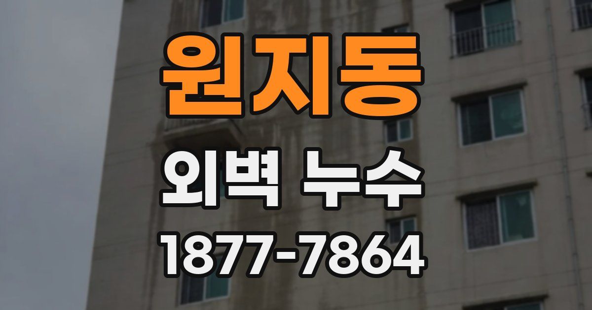원지동 외벽 누수