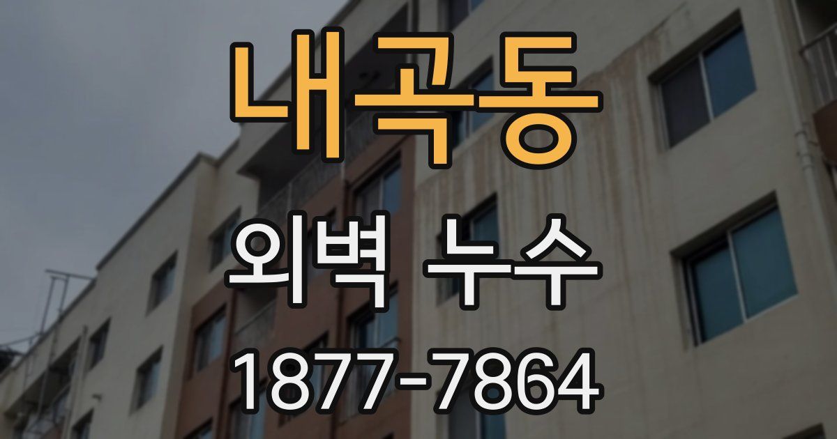 내곡동 외벽 누수