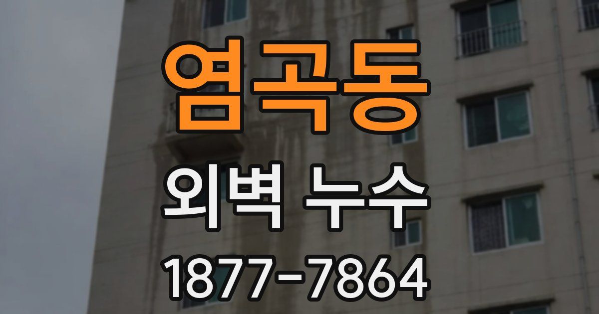 염곡동 외벽 누수