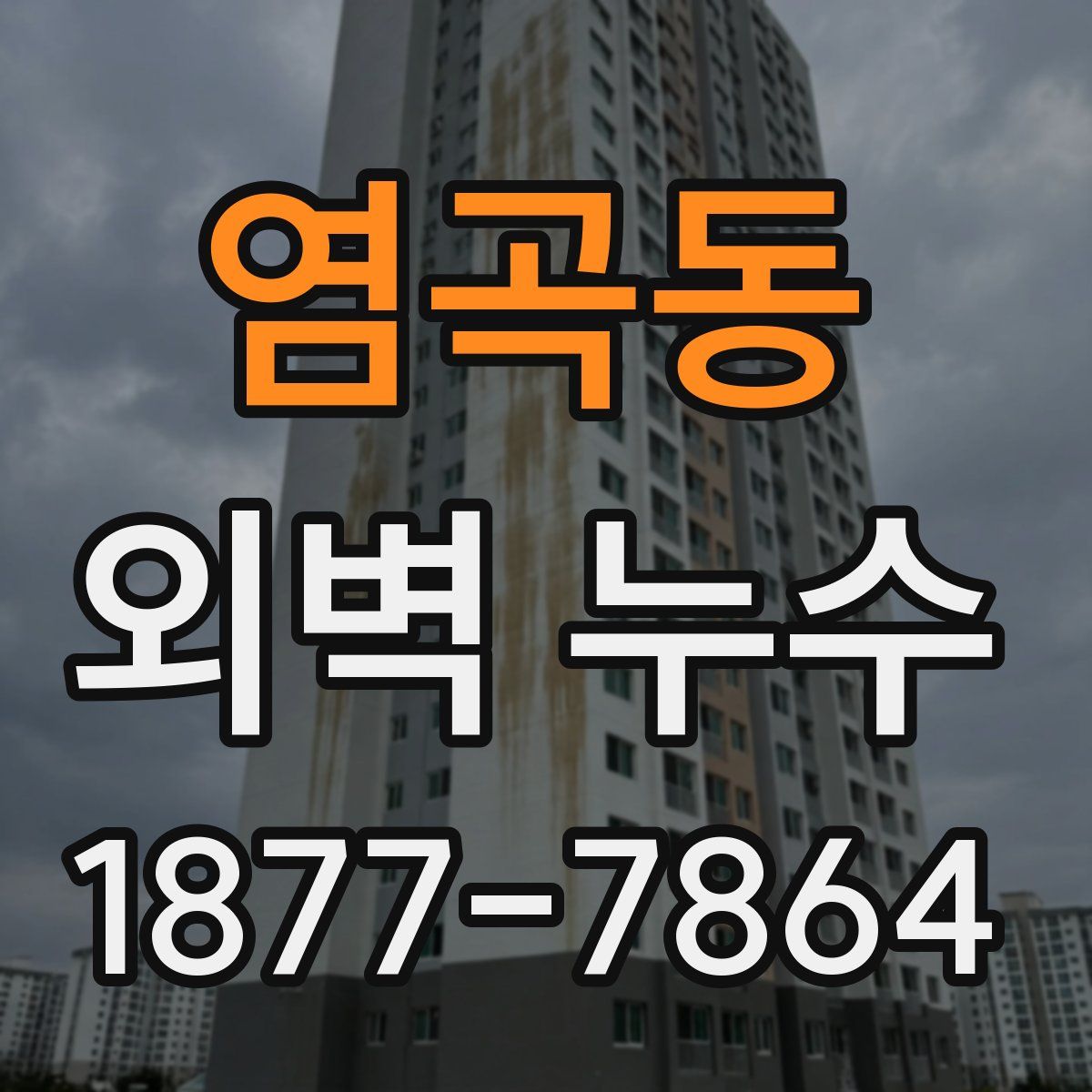 염곡동 외벽 누수