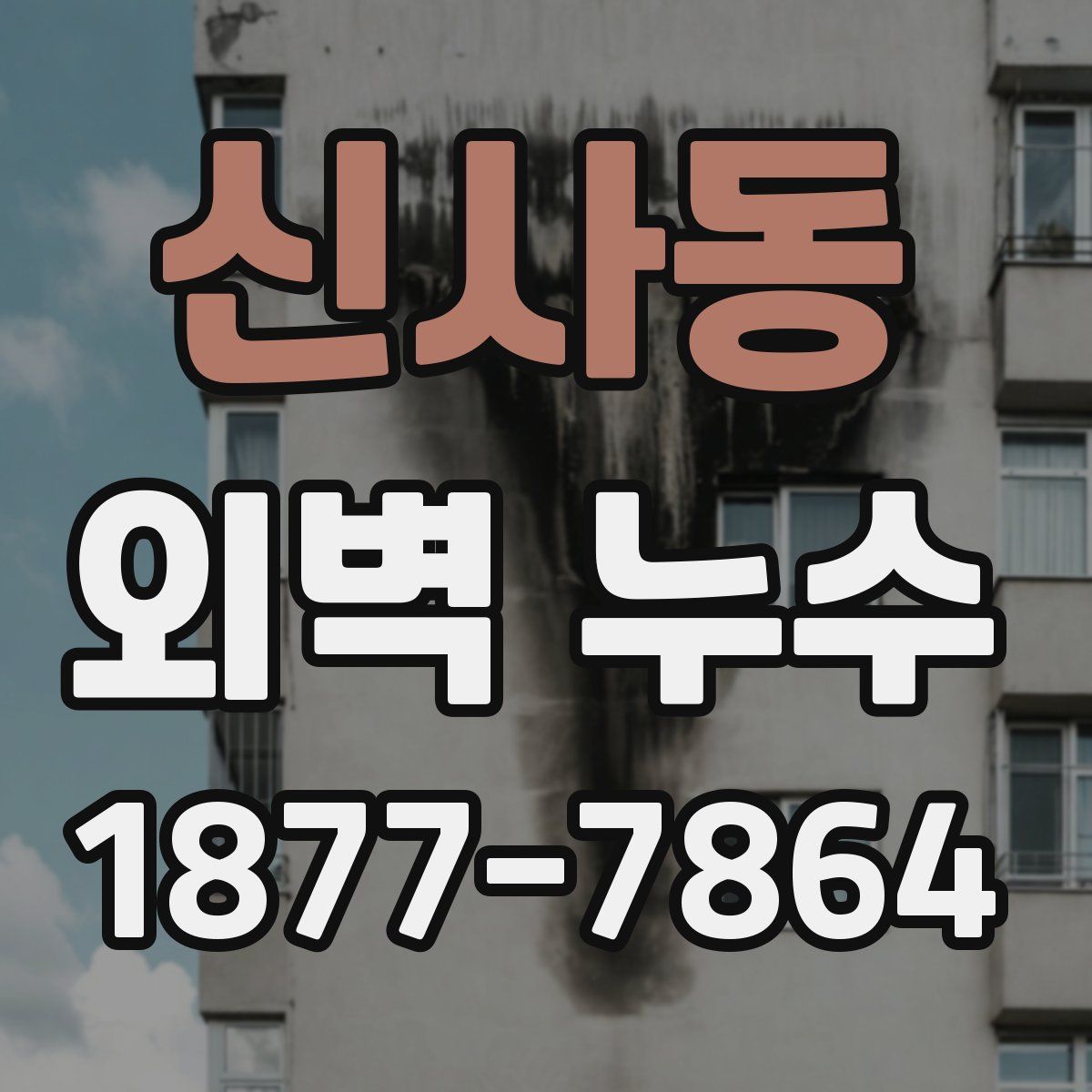 신사동 외벽 누수