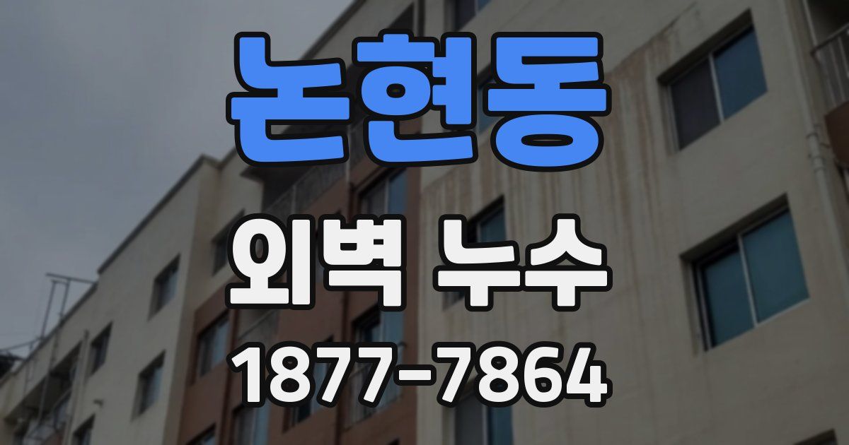 논현동 외벽 누수