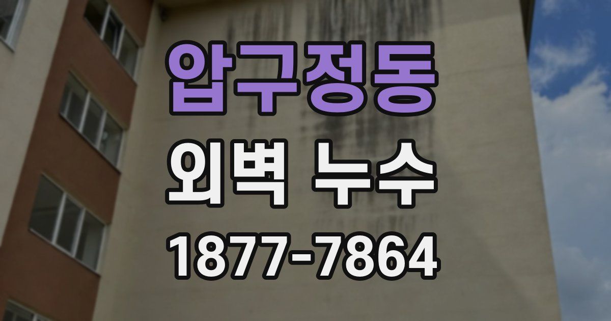 압구정동 외벽 누수