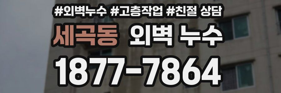 세곡동 외벽 누수