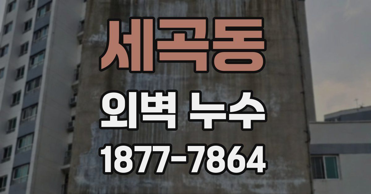 세곡동 외벽 누수