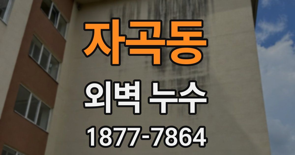 자곡동 외벽 누수
