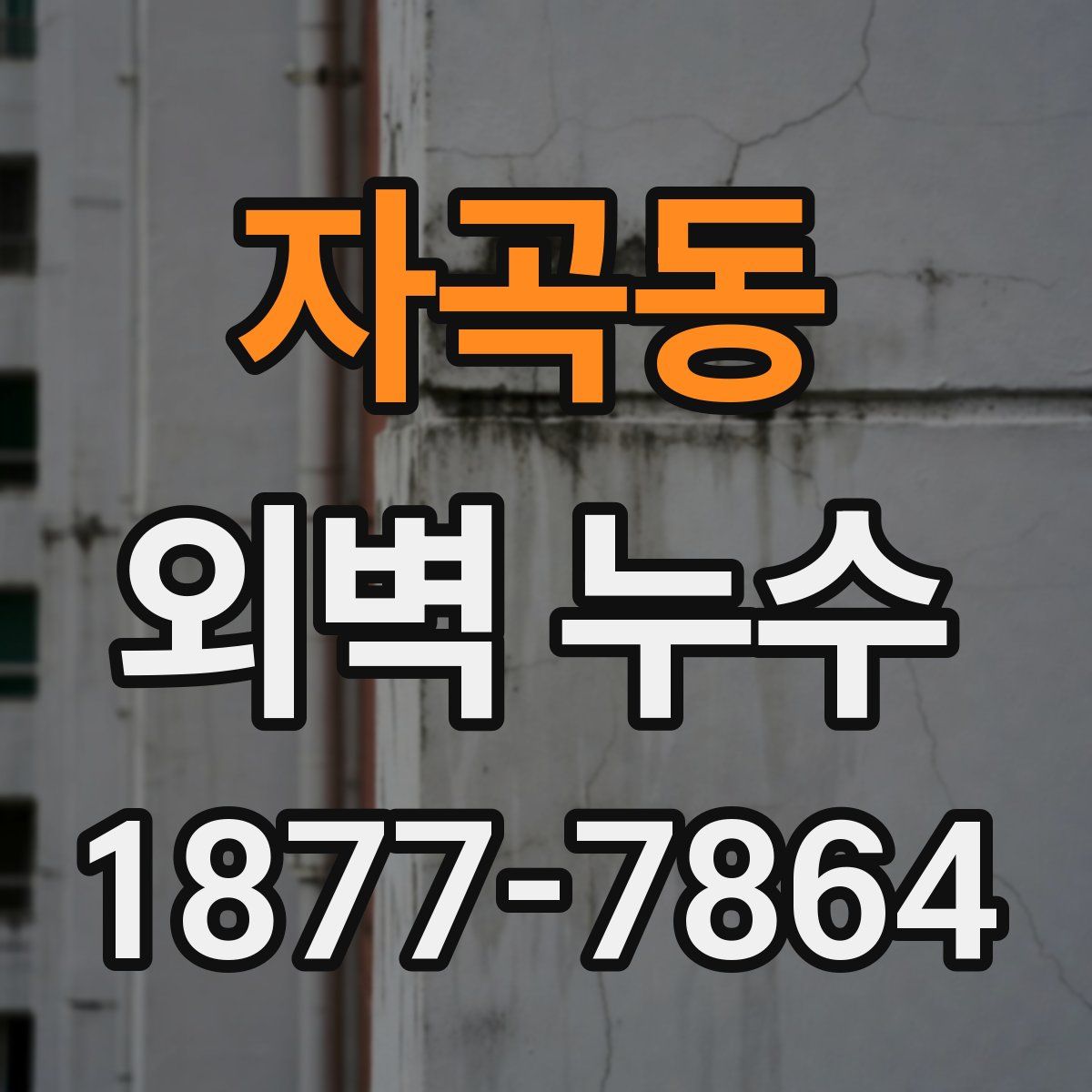 자곡동 외벽 누수