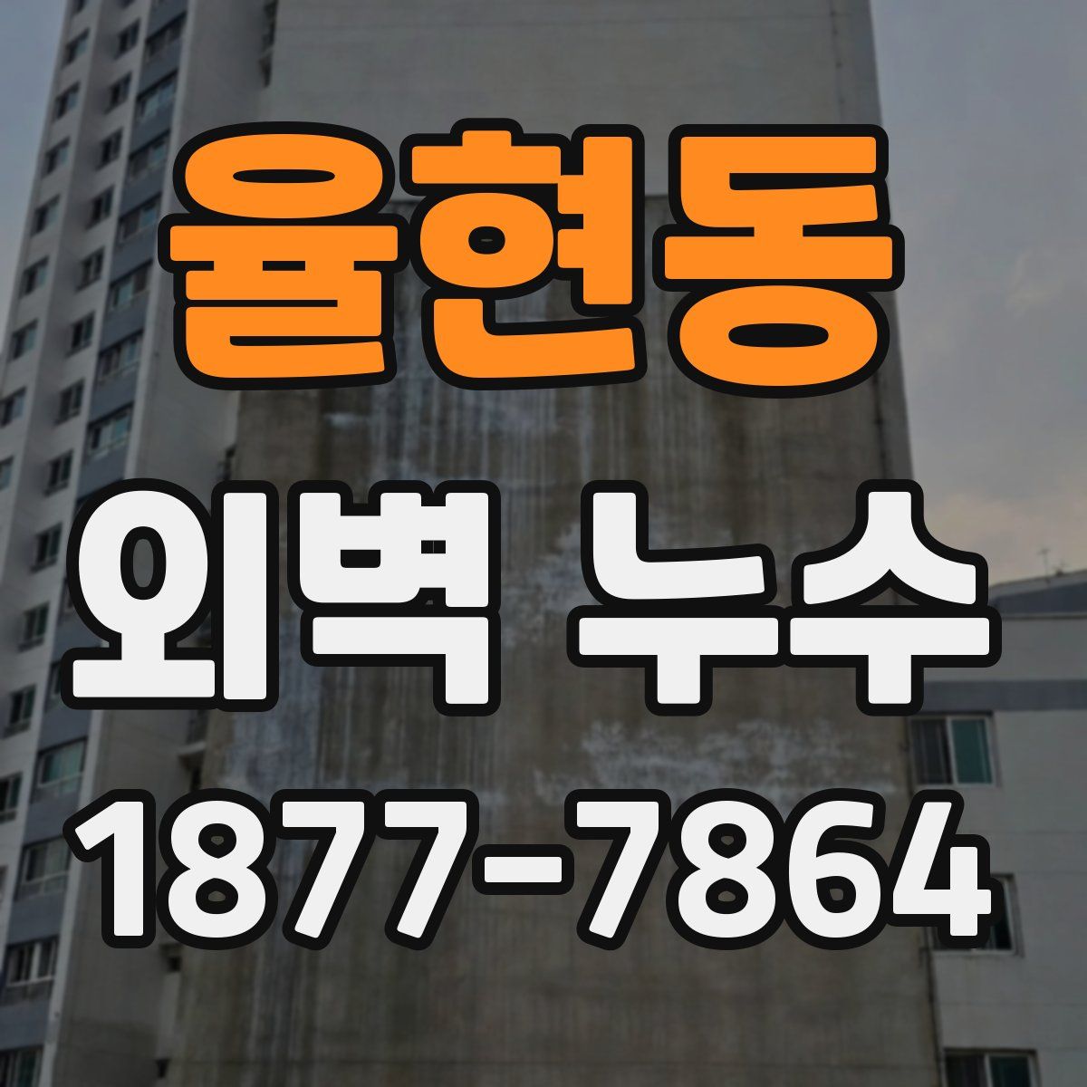 율현동 외벽 누수