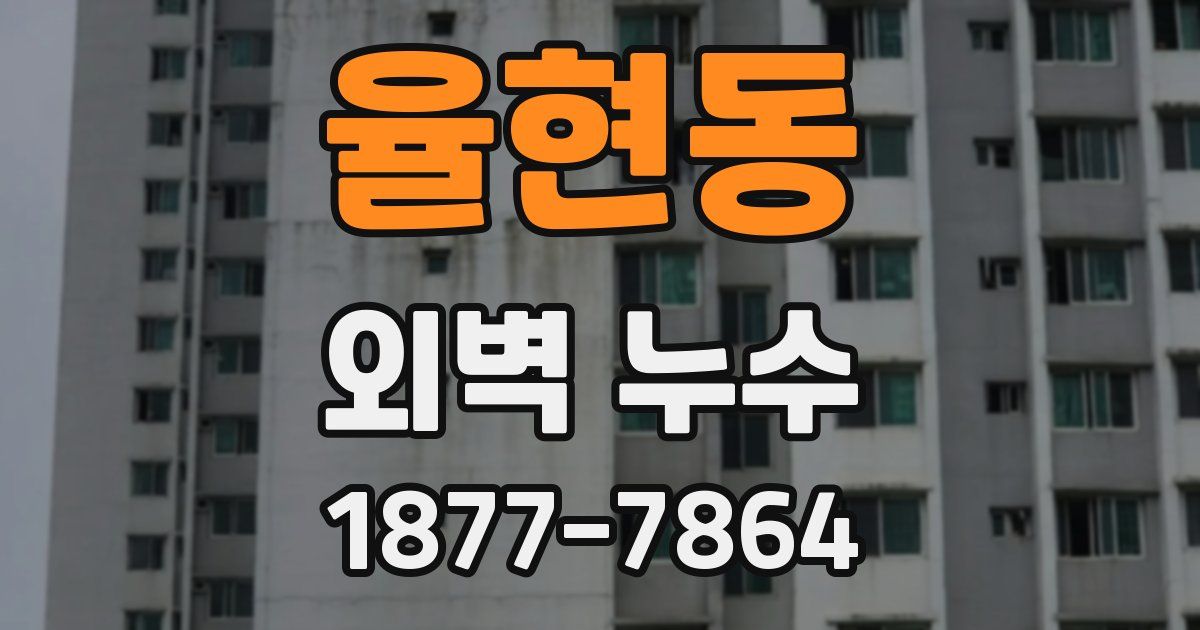 율현동 외벽 누수
