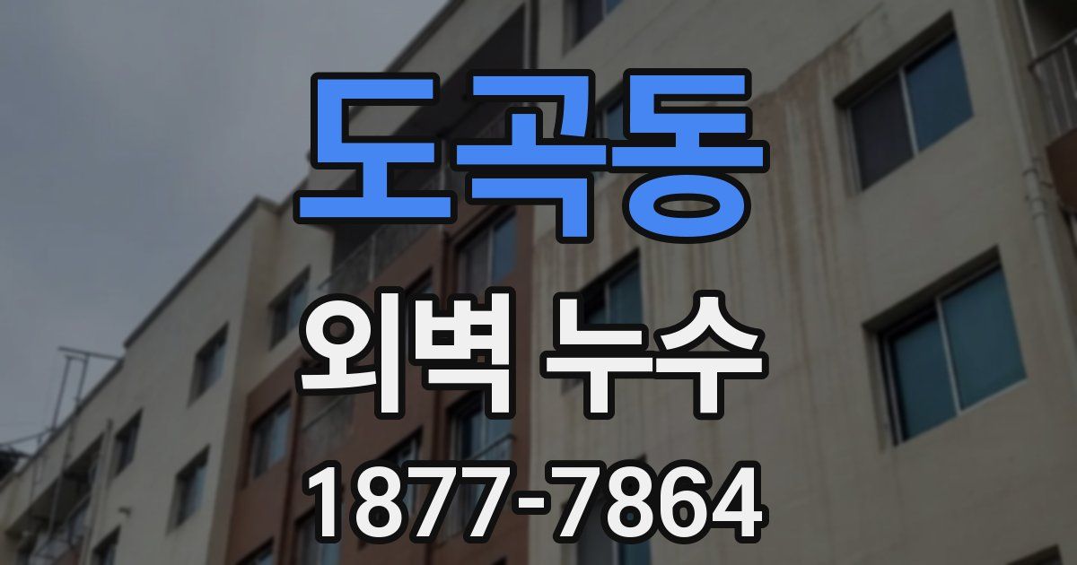 도곡동 외벽 누수