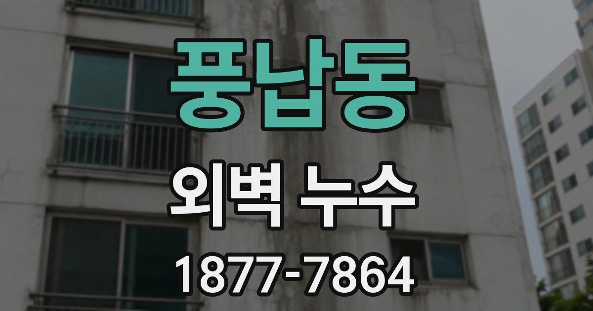 풍납동 외벽 누수