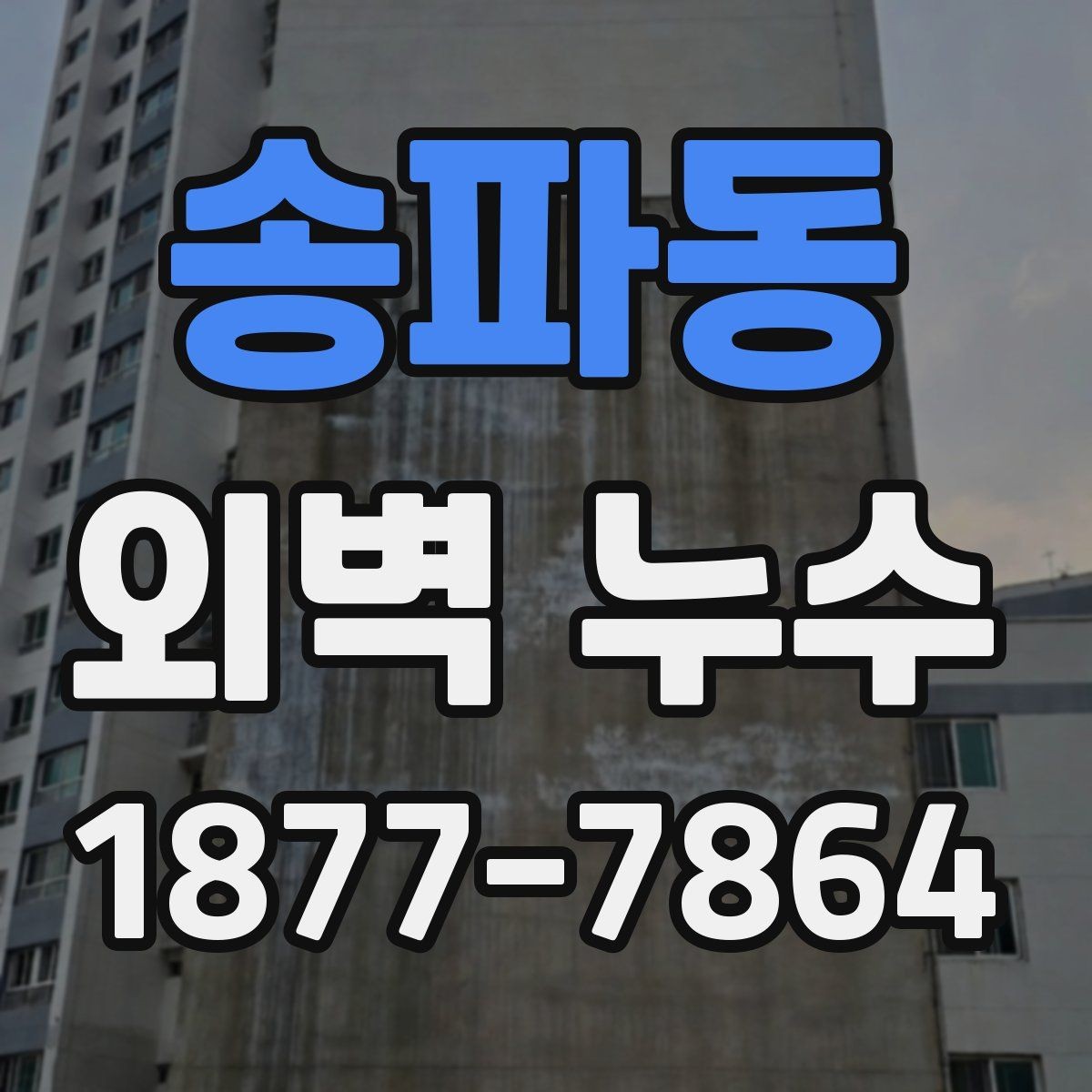 송파동 외벽 누수 관리 사례로 보는 점검 습관