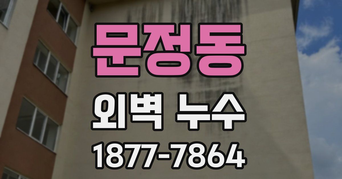 문정동 외벽 누수