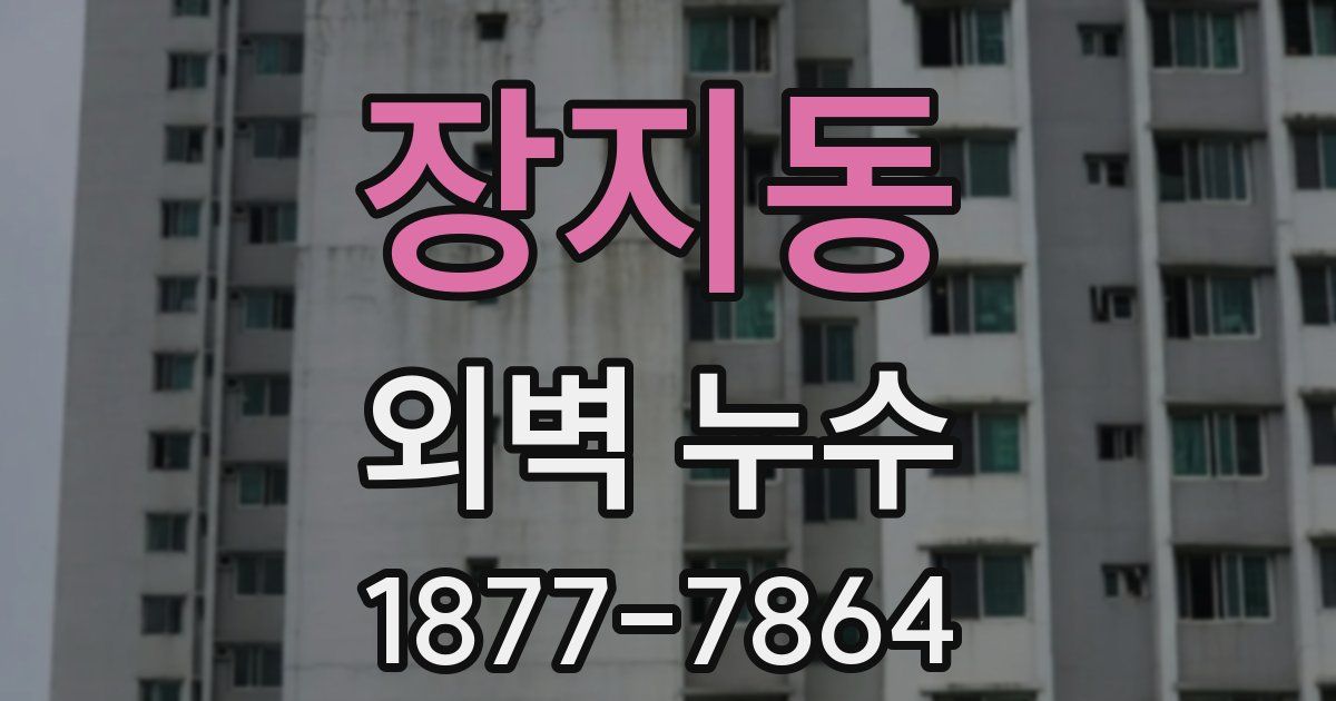 장지동 외벽 누수