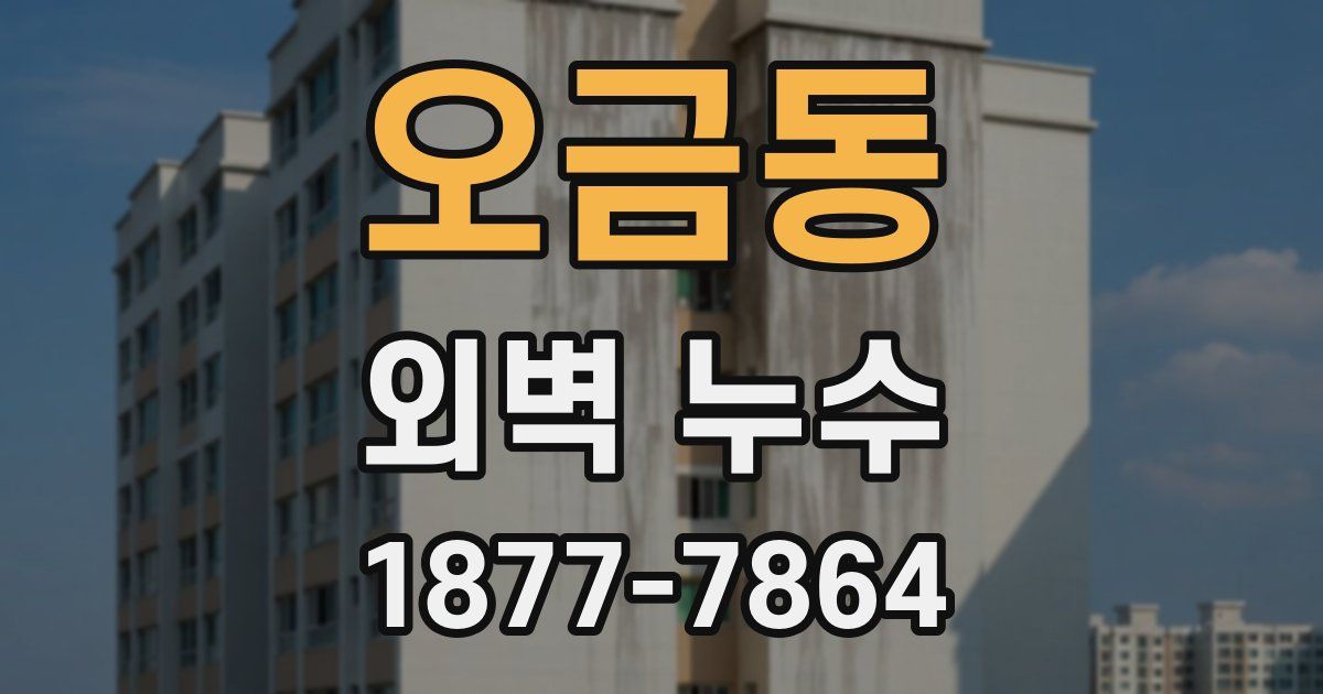 오금동 외벽 누수