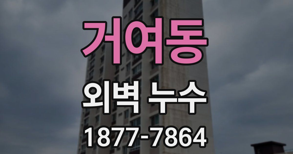 거여동 외벽 누수