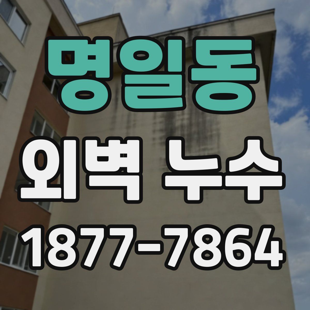 명일동 외벽 누수