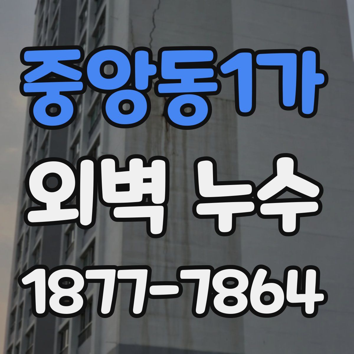 중앙동1가 외벽 누수