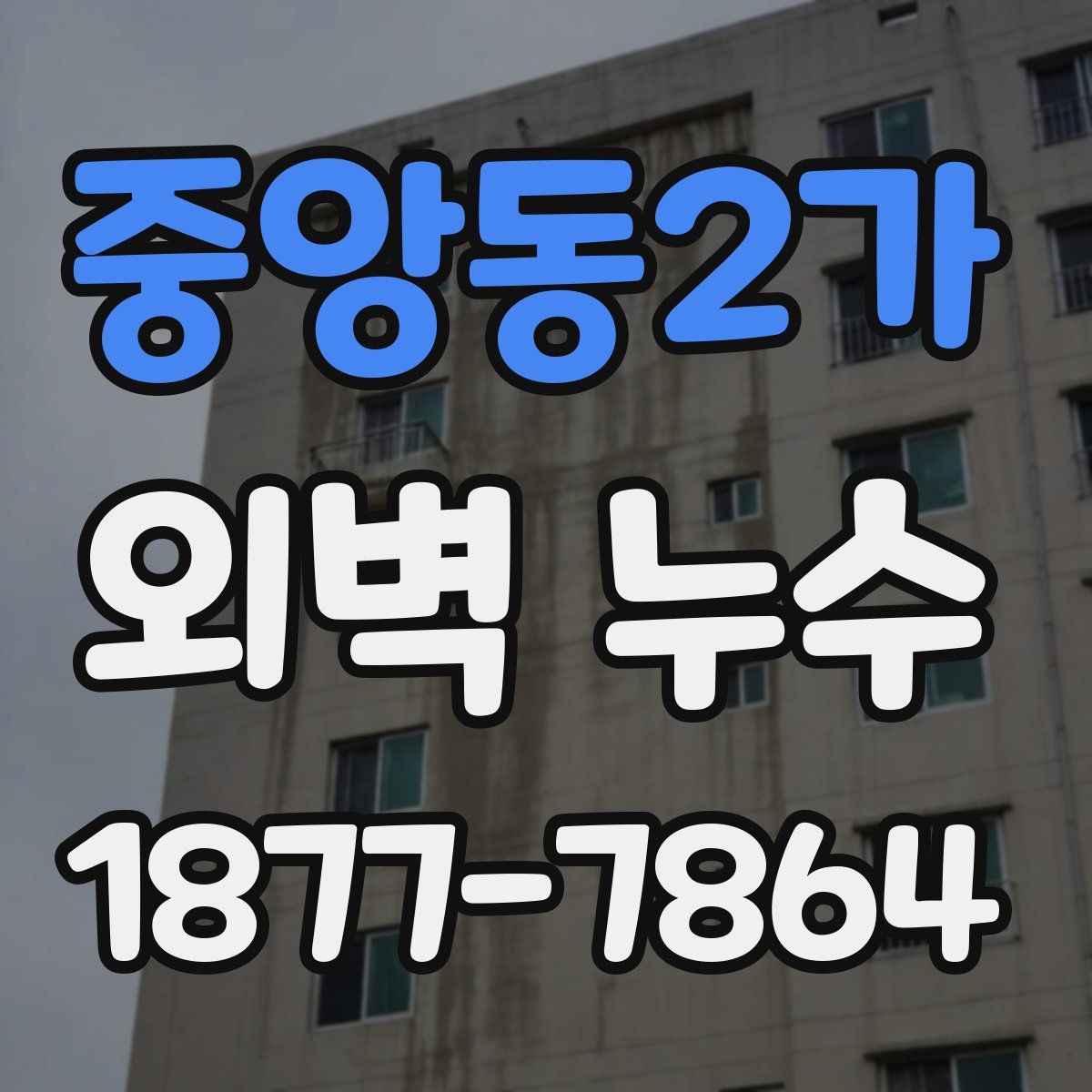 중앙동2가 외벽 누수
