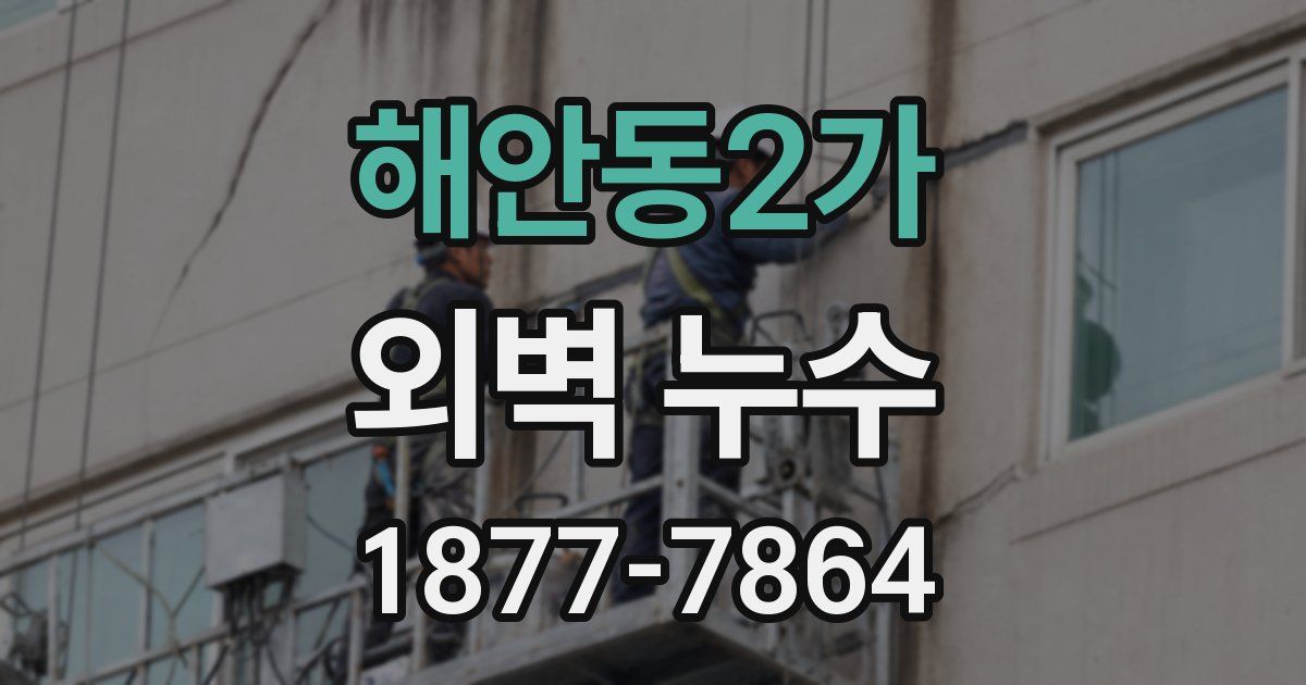 해안동2가 외벽 누수