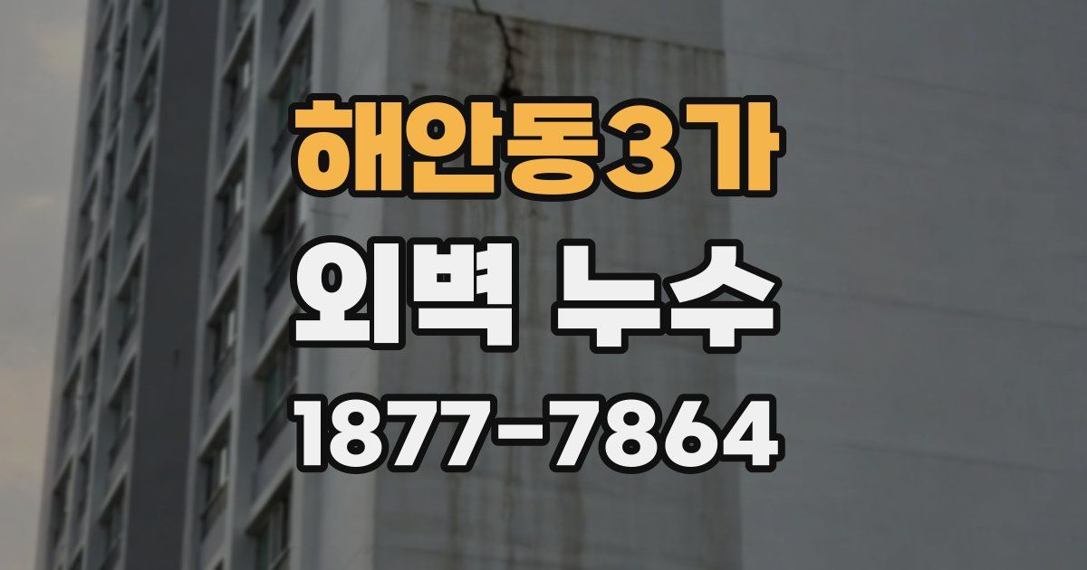 해안동3가 외벽 누수