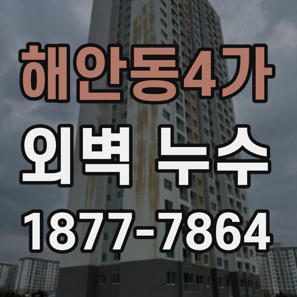 해안동4가 외벽 누수 보수업체 선택 시 확인사항