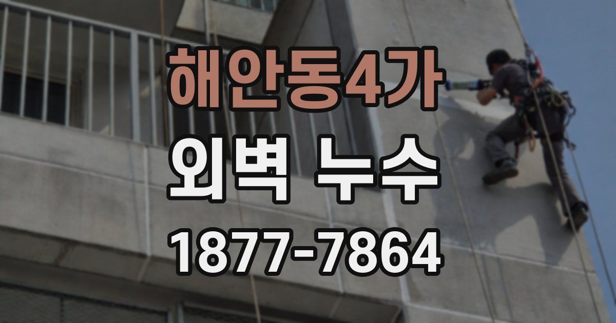 해안동4가 외벽 누수