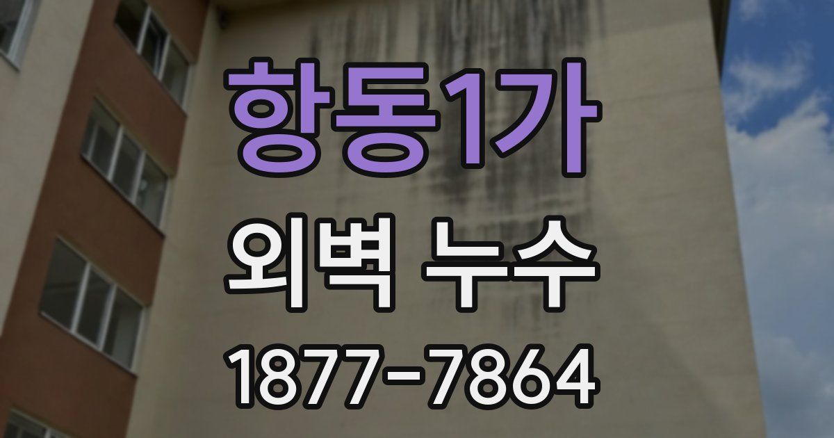 항동1가 외벽 누수