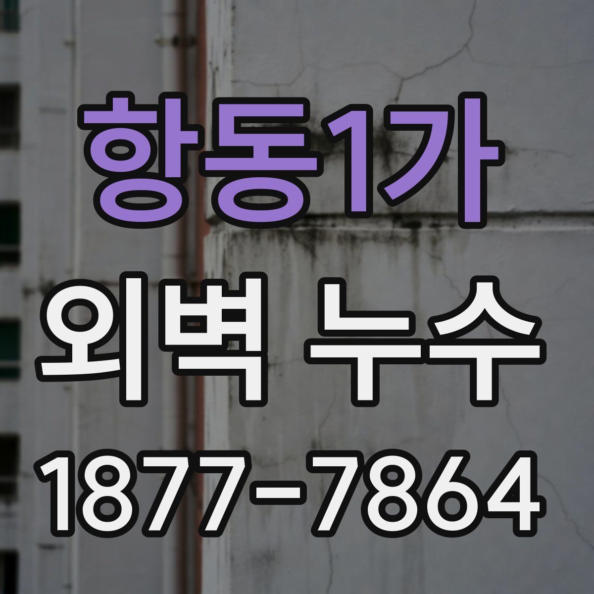 항동1가 외벽 누수