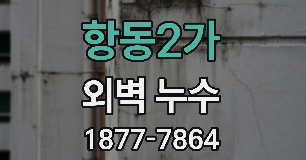 항동2가 외벽 누수