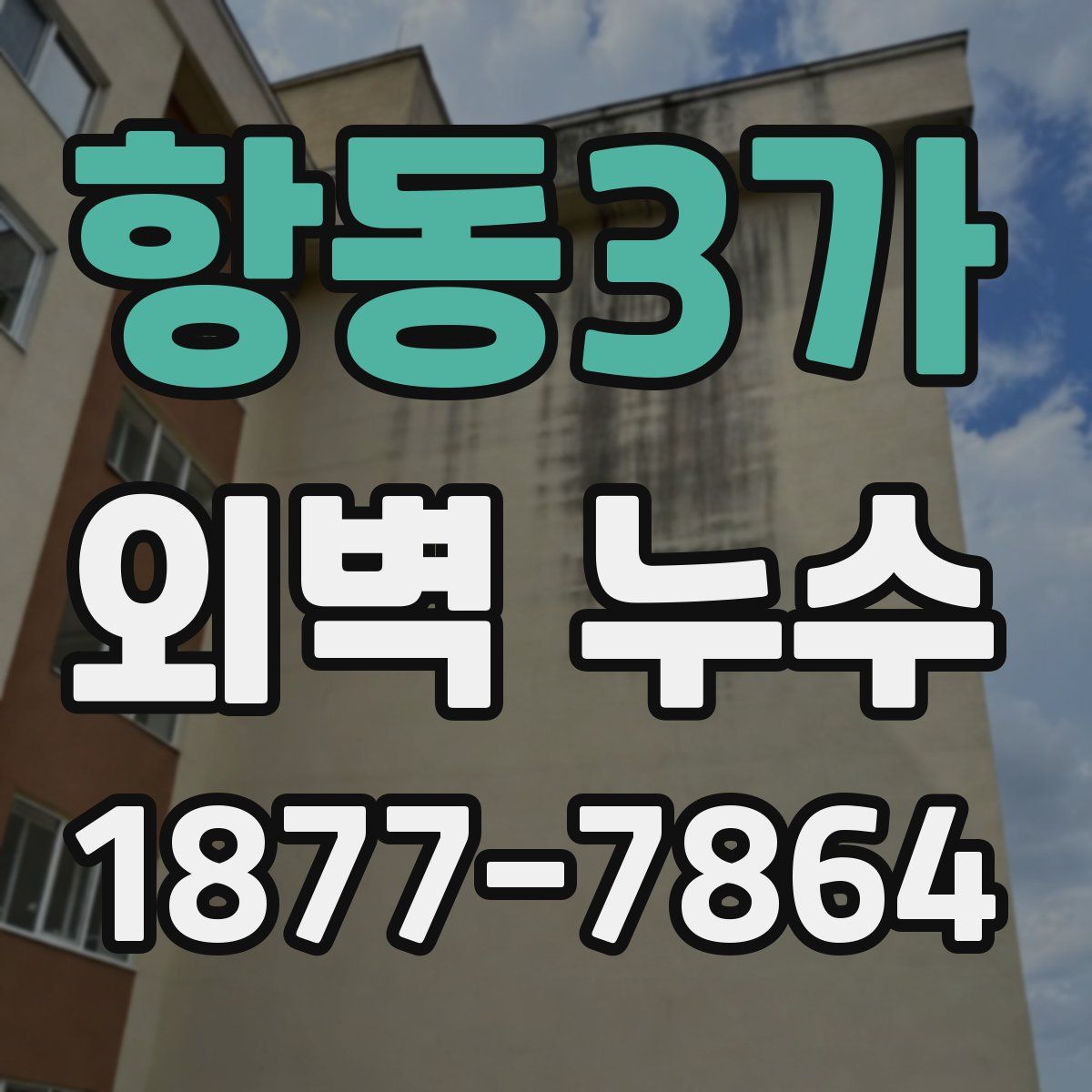 항동3가 외벽 누수