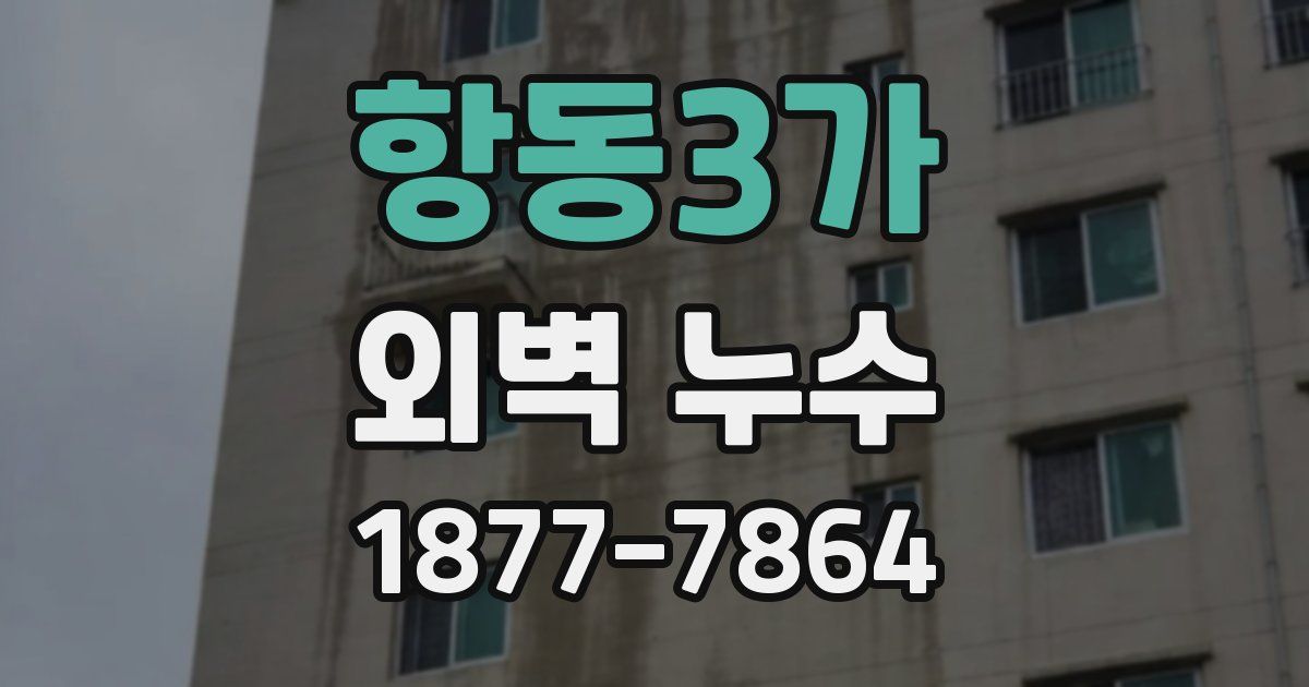 항동3가 외벽 누수