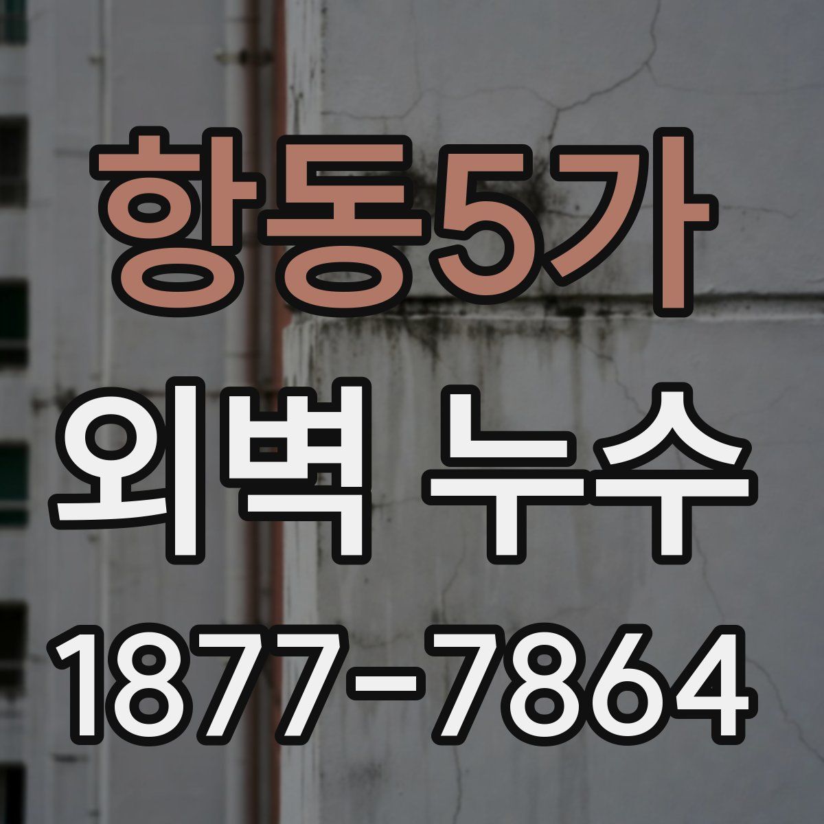 항동5가 외벽 누수