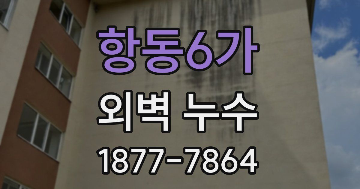 항동6가 외벽 누수