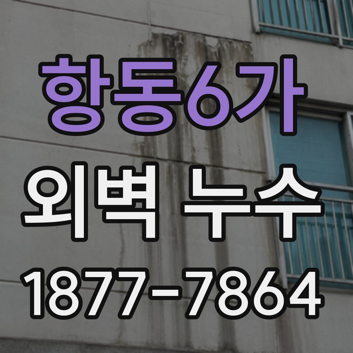 항동6가 외벽 누수