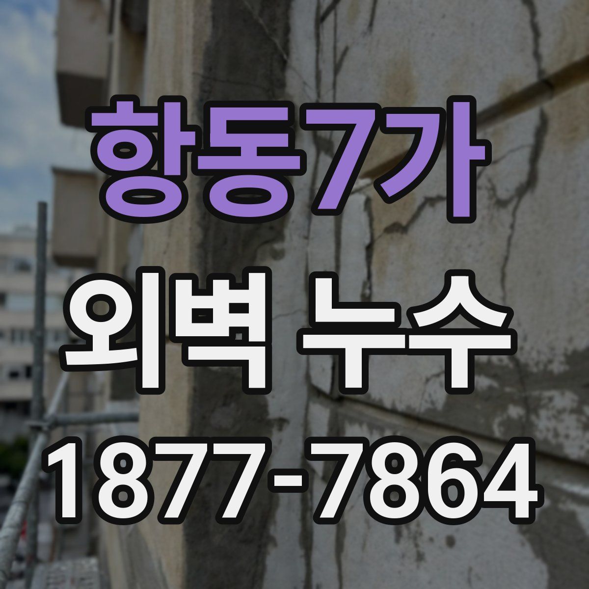 항동7가 외벽 누수