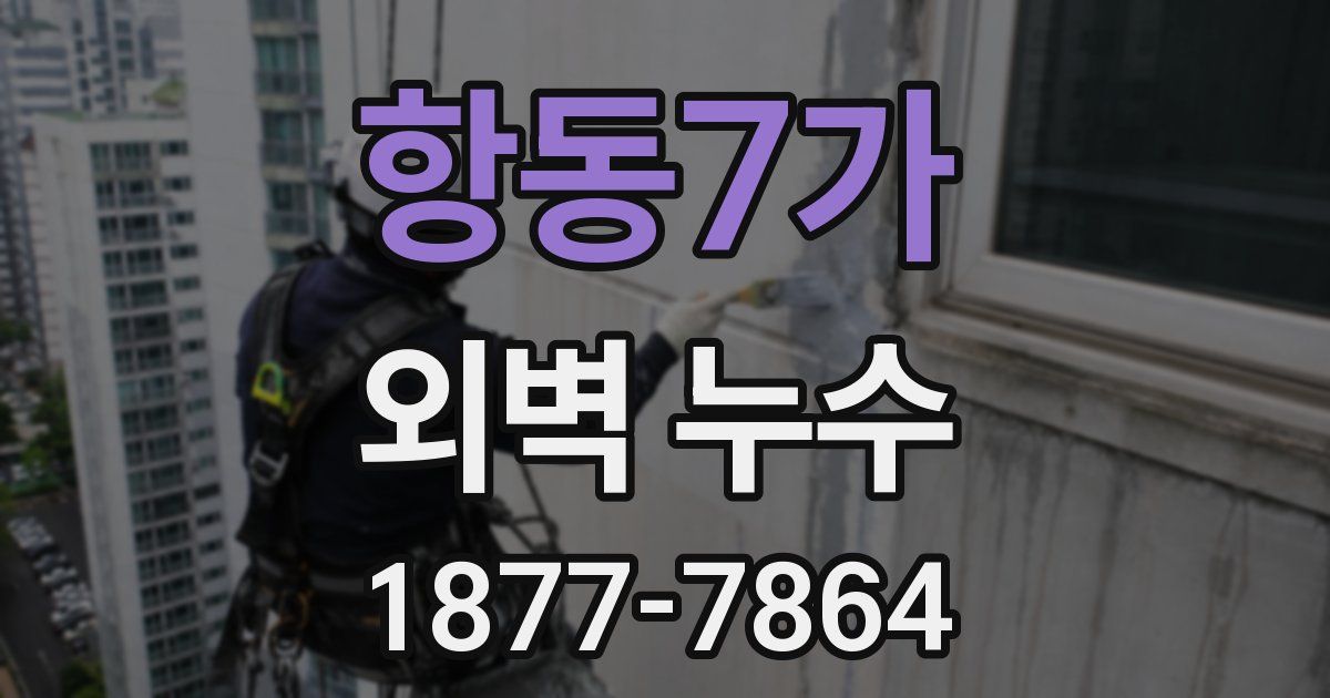 항동7가 외벽 누수